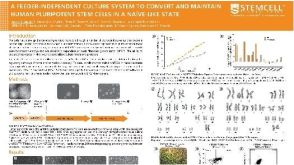 A Feeder-Independent Culture System to Convert and Maintain Human Pluripotent Stem Cells in a Naïve-Like State