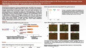A Simple Functional Assay Demonstrating Pluripotency Using Directed Differentiation to All Three Germ Layers in Monolayer Culture