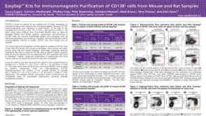 EasySep™ Kits for Immunomagnetic Purification of CD138+ cells from Mouse and Rat Samples