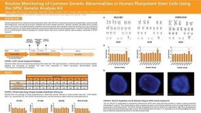 Routine Monitoring of Common Genetic Abnormalities in Human Pluripotent Stem Cells Using the hPSC Genetic Analysis Kit
