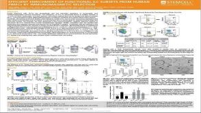 Efficient Enrichment of Functional ILC Subsets from Human PBMCs by Immunomagnetic Selection