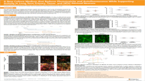 A New Culture Medium That Reduces Phototoxicity and Autofluorescence While Supporting Activity in Long-Term Primary Tissue- and hPSC-Derived Neurons
