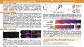 Using Human Pluripotent Stem Cell-Derived Microglia As Models For Neurological Disease Research