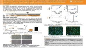 STEMdiff™ Endothelial: A New Culture Workflow for Efficient Derivation and Expansion of Endothelial Cells From Human Pluripotent Stem Cells
