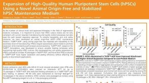 Expansion of High-Quality Human Pluripotent Stem Cells (hPSCs) Using a Novel Animal Origin-Free and Stabilized hPSC Maintenance Medium