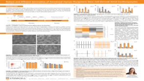 Robust and Efficient Generation of Functional Human Pluripotent Stem Cell-Derived Atrial Cardiomyocytes