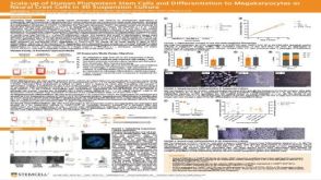 Scale-up of Human Pluripotent Stem Cells and Differentiation to Megakaryocytes or Neural Crest Cells in 3D Suspension Culture