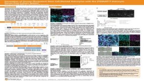 Generation of Human Pluripotent Stem Cell-Derived Astrocytes With the STEMdiff™ Astrocyte Serum-Free Culture System