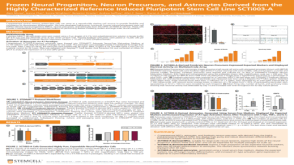 Frozen Neural Progenitors, Neuron Precursors, and Astrocytes Derived from the Highly Characterized Reference Induced Pluripotent Stem Cell Line SCTi003-A
