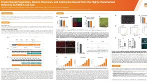 Frozen Neural Progenitors, Neuron Precursors, and Astrocytes Derived from the Highly Characterized Reference iPSC Line, SCTi003-A