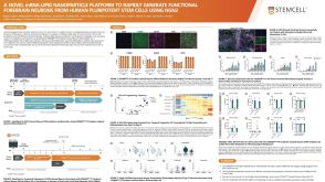 A Novel mRNA-LNP Platform to Rapidly Generate Functional Forebrain Neurons from hPSCs Using NGN2