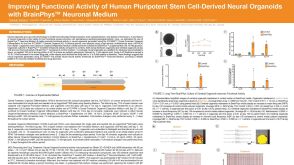 Improving Functional Activity of Human Pluripotent Stem Cell-Derived Neural Organoids with BrainPhys Neuronal Medium