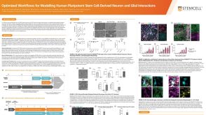 Optimized Workflows for Modelling Human Pluripotent Stem Cell-Derived Neuron and Glial Interactions