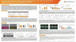 Functionally Relevant hPSC-Derived Hepatocytes and Liver Organoids for Hepatotoxicity and Liver Biology Modeling