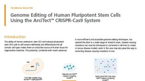 Genome Editing of Human Pluripotent Stem Cells Using the ArciTect™ CRISPR-Cas9 System