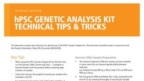 hPSC Genetic Analysis Kit Technical Tips & Tricks