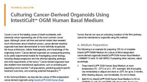 Culturing Cancer-Derived Organoids Using IntestiCult™ Organoid Growth Medium (Human)