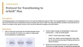 Protocol for Transitioning to mTeSR™ Plus