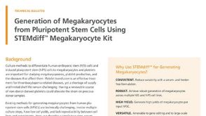Generation of Megakaryocytes from Pluripotent Stem Cells Using STEMdiff™ Megakaryocyte Kit