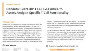 Dendritic Cell/CD8+ T Cell Co-Culture to Assess Antigen-Specific T Cell Functionality