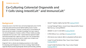 Co-Culturing Colorectal Organoids and T Cells using IntestiCult™ and ImmunoCult™