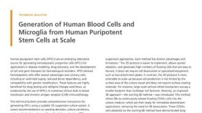 Generation of Human Blood Cells and Microglia from Human Pluripotent Stem Cells at Scale