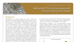 MethoCult™ for Rat Hematopoietic Colony-Forming Unit (CFU) Assays