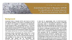 Endothelial Protein C Receptor (EPCR): A New Marker for Identification and Positive Selection of Mouse Hematopoietic Stem Cells