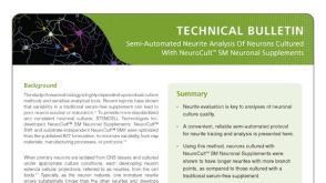 Semi-Automated Neurite Analysis of Neurons Cultured with NeuroCult™ SM Neuronal Supplements