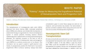 Potency Assays for Measuring the Engraftment Potential of HSPCs