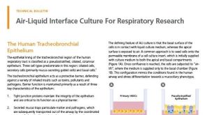 Air-Liquid Interface Culture for Respiratory Research