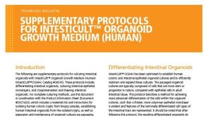 Supplementary Protocols for IntestiCult™ Organoid Growth Medium (Human)