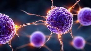 Mouse Immune Cell Isolation Course