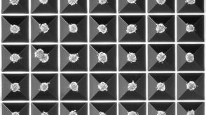 Generate Size-Controlled Spheroids and Embryoid Bodies Using AggreWell™ Microwell Plates