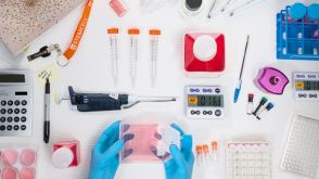 Cord Blood CD34+ Cell Isolation