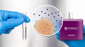 EasySep™细胞分选详细指南：技巧与提示