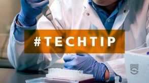 Tips for Efficient Generation of hPSC-Derived MPCs