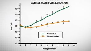 MesenCult&trade;-XF Introduction: A Defined, Xeno-free Medium for Human MSCs
