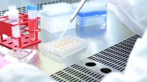 How to Generate Neural Progenitor Cells from hPSCs Using STEMdiff™ Neural Induction Medium