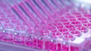 How to Generate Hybridomas in 96-Well Plates Using ClonaCell™-HY Semi-Solid Cloning Medium