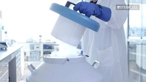 How to Prepare a Single Cell Suspension from Frozen Samples and Prevent Cell Clumping