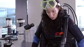 EasySep™ Mouse Cell Isolation Kits: How Much Time Will You Save? (Part 3)