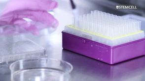 Semi-Solid Cloning of CHO Cells Using ClonaCell™-CHO Medium