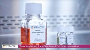 How to Culture Mouse Intestinal Organoids: Isolating Intestinal Crypts and Establishing Organoids