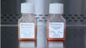 How to Prepare and Plate Semi-Solid Medium