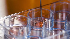 How to Set Up the CFU Assay for Custom Hematopoietic Training Courses Using SmartDish™ 