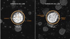 Passaging Naive PSC Colonies Derived and Maintained in RSeT™