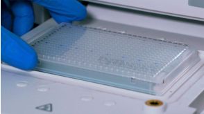How to Set Up an Assay with the hPSC Genetic Analysis Kit Experiment