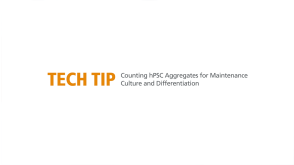 How to Count hPSC Aggregates to Determine Plating Density for Maintenance and Differentiation
