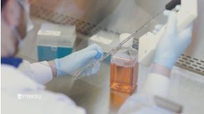 How to Model the Human Airway at the Air-Liquid Interface: Expansion of HBECs